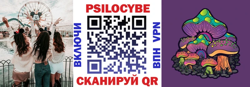 Купить где  Кемь  Псилоцибиновые грибы MAGIC MUSHROOMS 